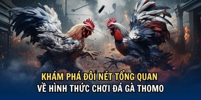 Các loại cược Thomo bạn có thể thử qua 