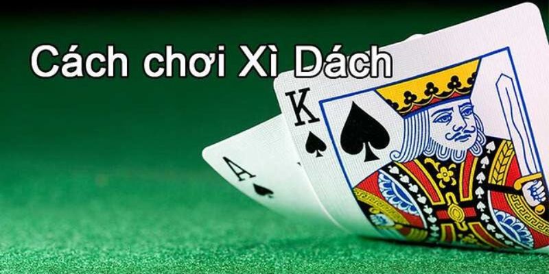 Luật chơi xì dách chi tiết dành cho newbie